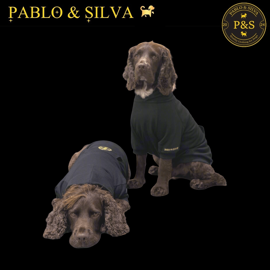 Two dogs wearing the black Pablo & Silva hoodie