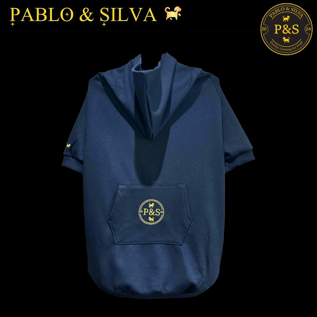 The back of the Pablo & Silva hoodie with a brand logo on a black background