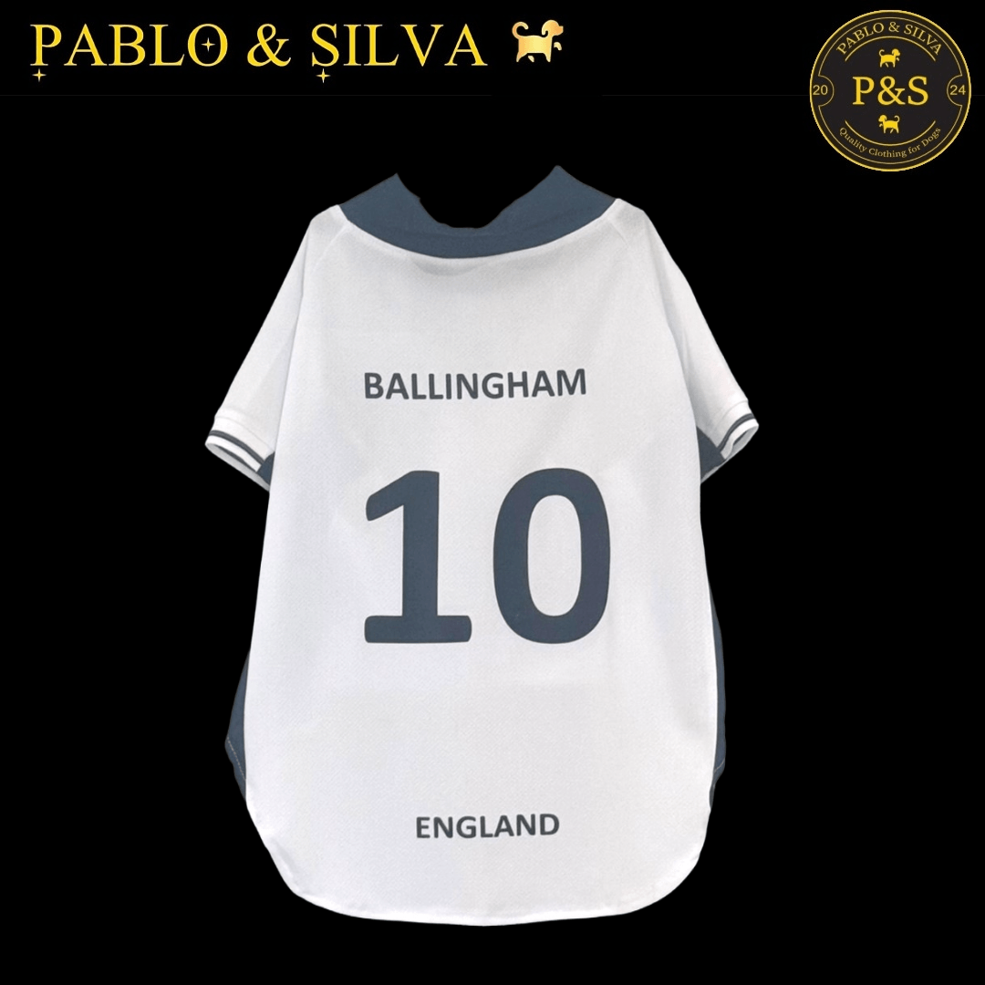 White England shirt with 'Ballingham' and number '10', branded 'Pablo & Silva'.