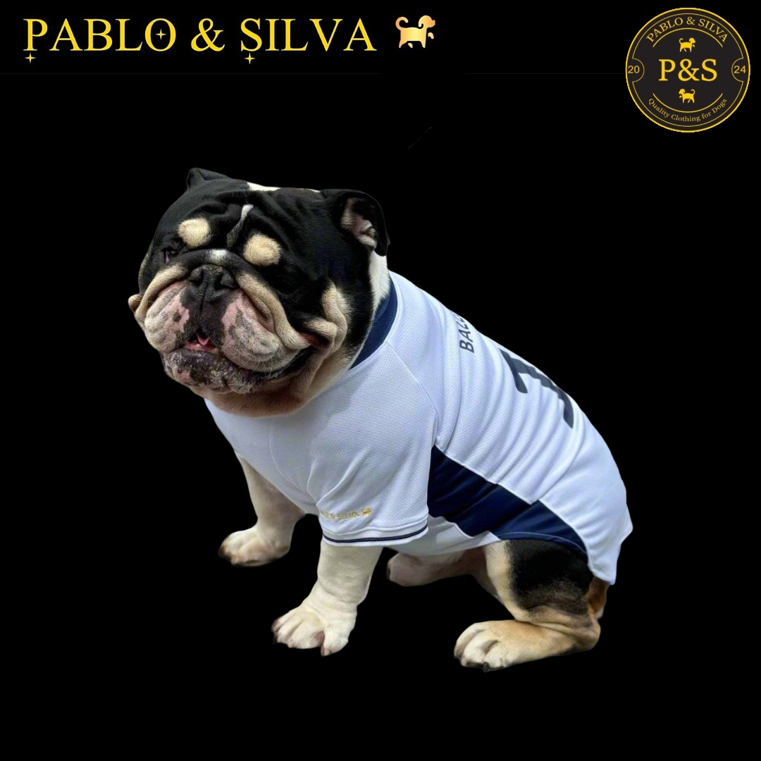 Dog wearing the white England shirt with 'Pablo & Silva' branding on a black background