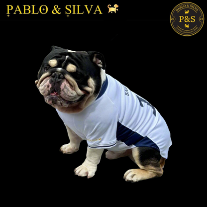 Dog wearing the white England shirt with 'Pablo & Silva' branding on a black background