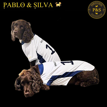 Two dogs wearing the white England shirt with blue accents, sitting side by side on a black background. The brand 'Pablo & Silva' is visible.