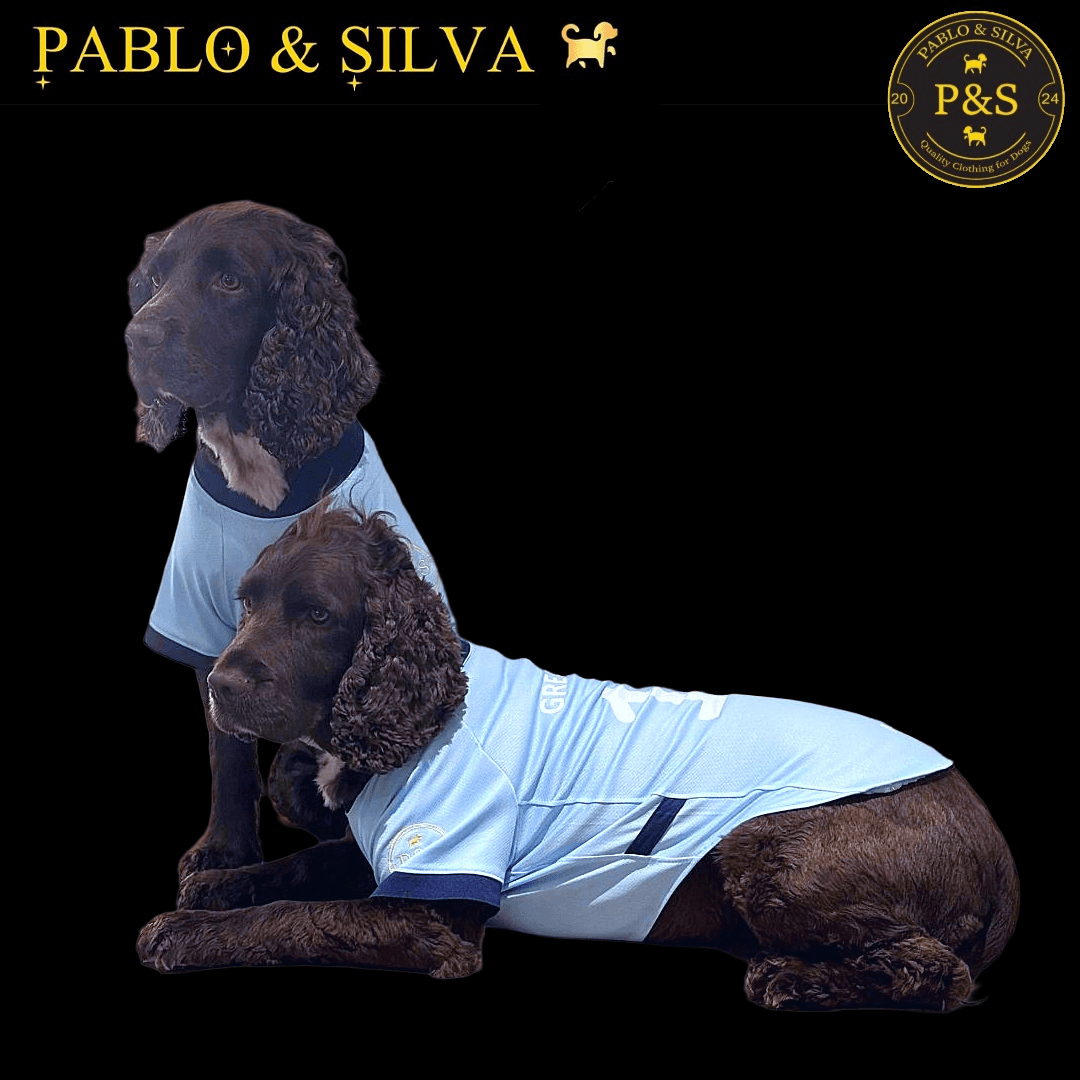 Two dogs wearing man city shirts with 'Pablo & Silva' branding 