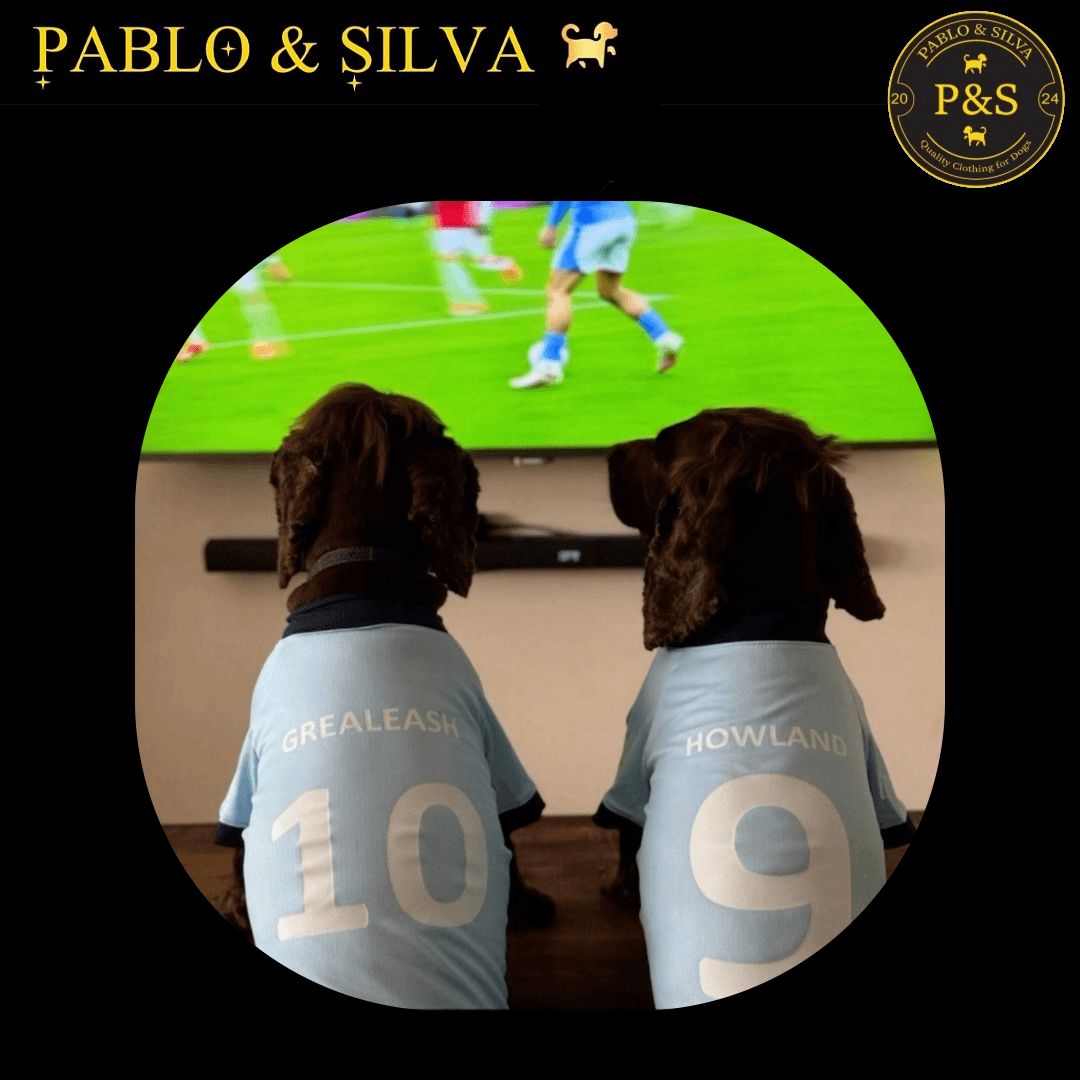 Two dogs wearing man city shirts with 'Pablo & Silva' branding, watching a football match on TV, 