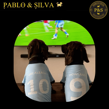 Two dogs wearing man city shirts with 'Pablo & Silva' branding, watching a football match on TV, 