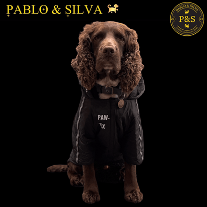 Front view of a dog wearing a Pablo & Silva waterproof winter jacket showing paw-tex logo