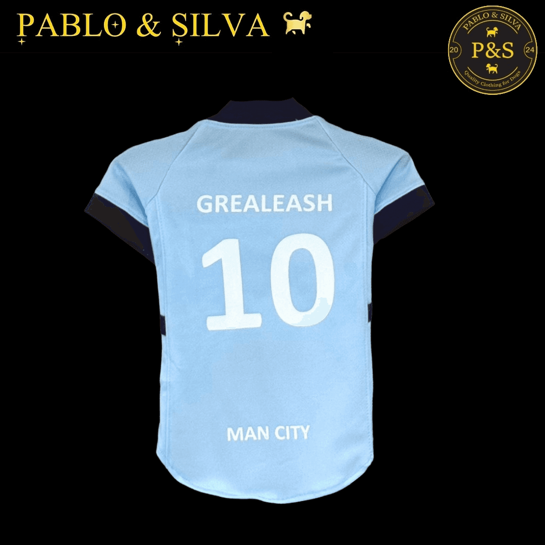 Man City shirt with 'GREALEASH 10' and 'MAN CITY' text, on a black background with 'Pablo & Silva' branding.