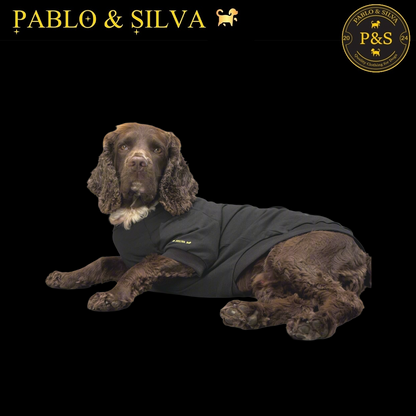 Dog lying down wearing the black Pablo & Silva hoodie