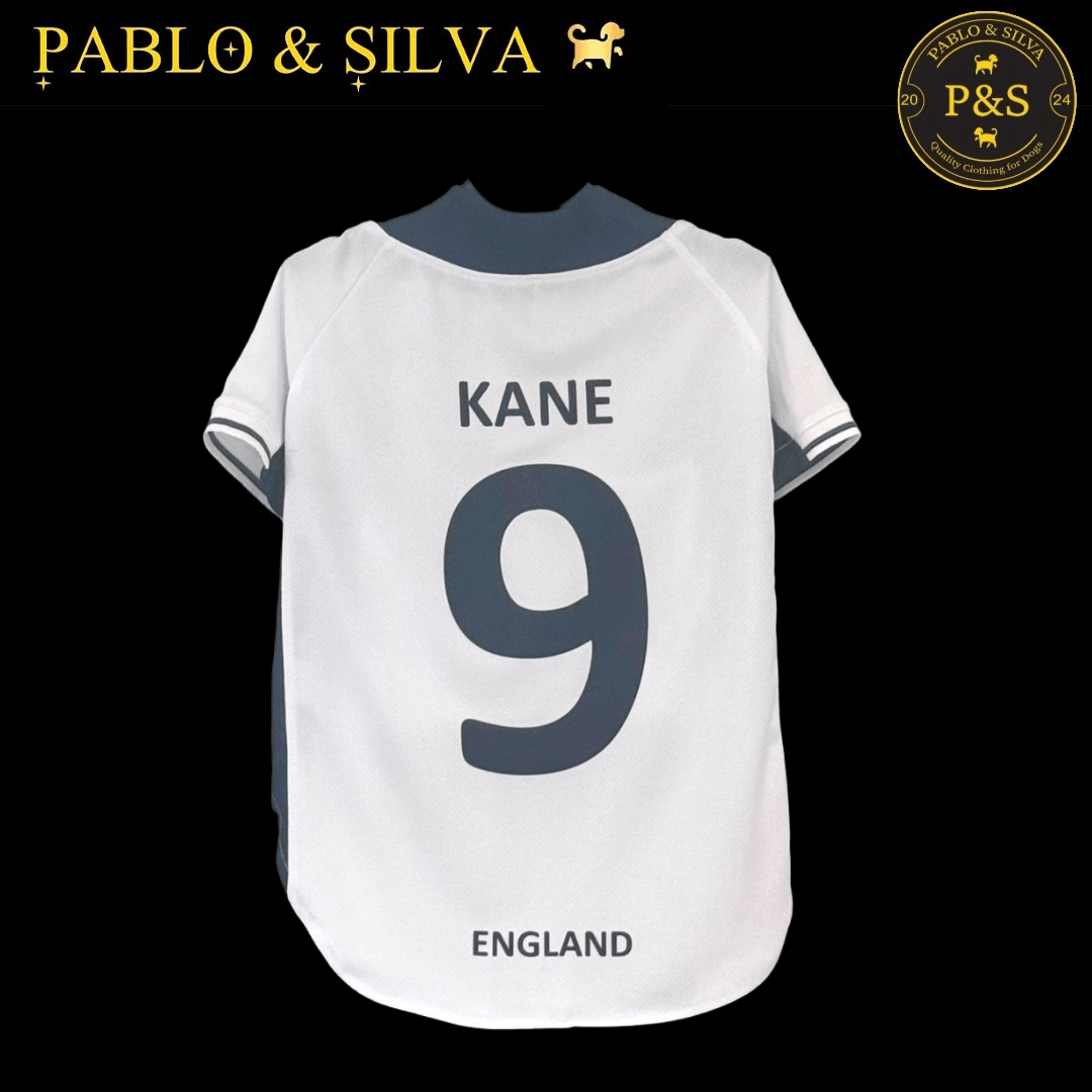 White England shirt with 'Kane 9' and 'England' text on a black background, featuring the brand 'Pablo & Silva'.
