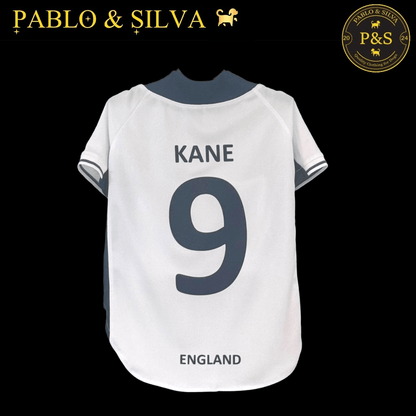 White England shirt with 'Kane 9' and 'England' text on a black background, featuring the brand 'Pablo & Silva'.