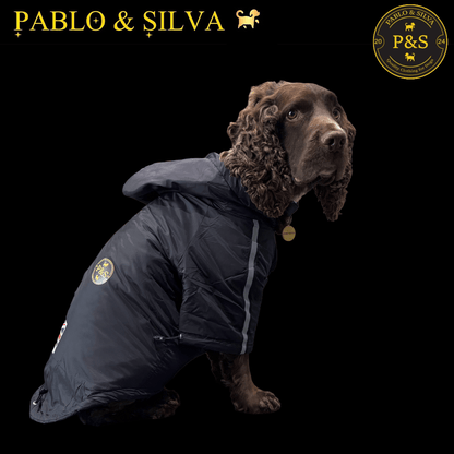 Dog wearing the Pablo & Silva waterproof winter jacket with a brand logo on a black background