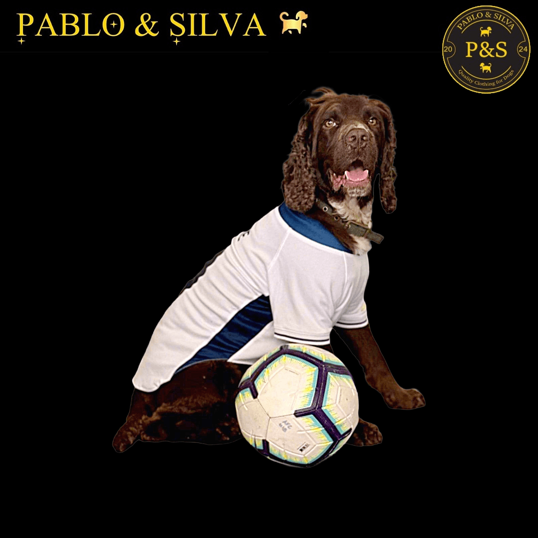 Dog wearing the white England football shirt with blue accents, sitting next to a football on a black background with 'Pablo & Silva' branding.