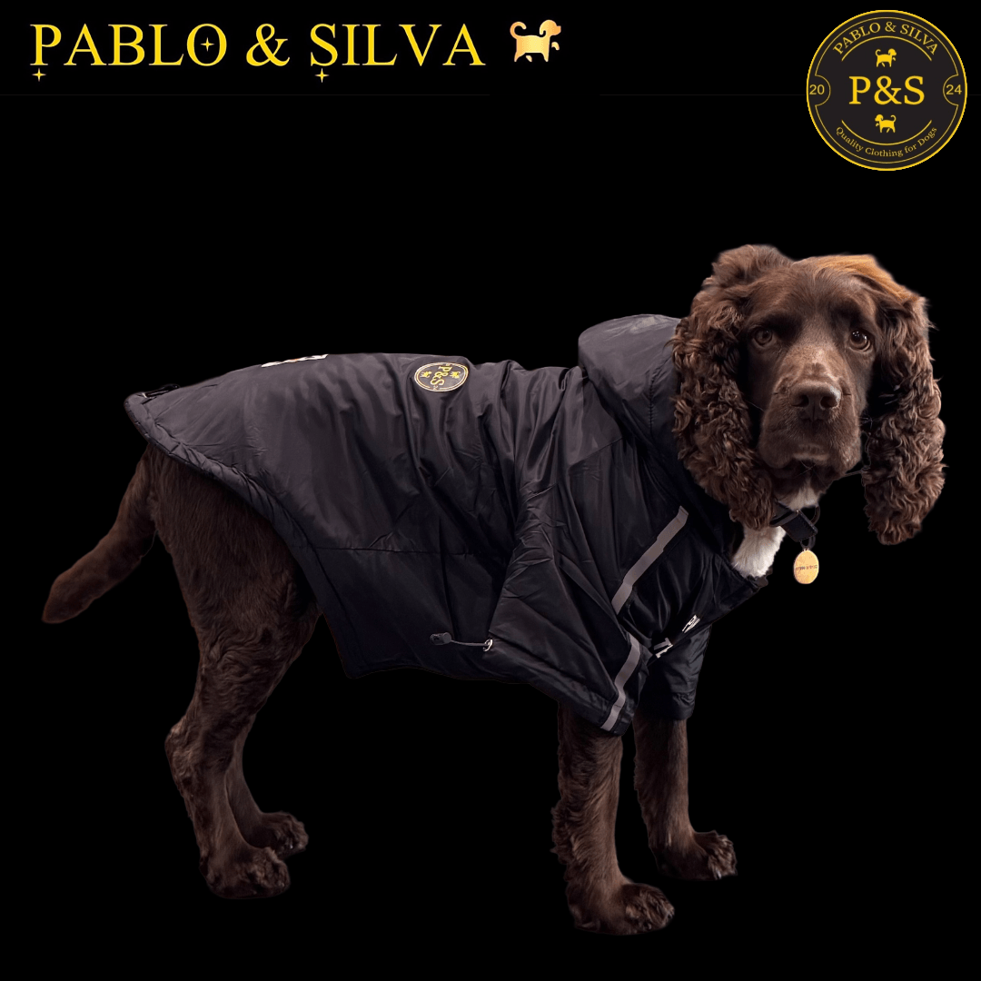 Dog wearing the black waterproof winter jacket with 'Pablo & Silva' branding on a black background