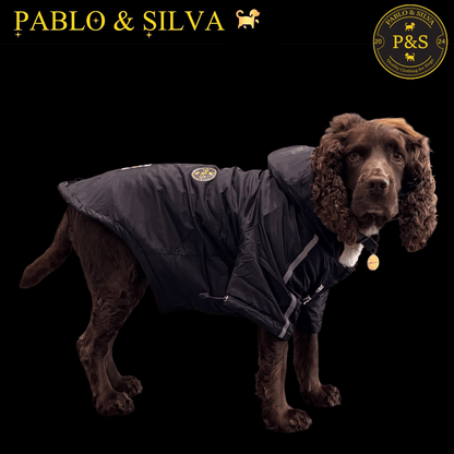 Dog wearing the black waterproof winter jacket with 'Pablo & Silva' branding on a black background