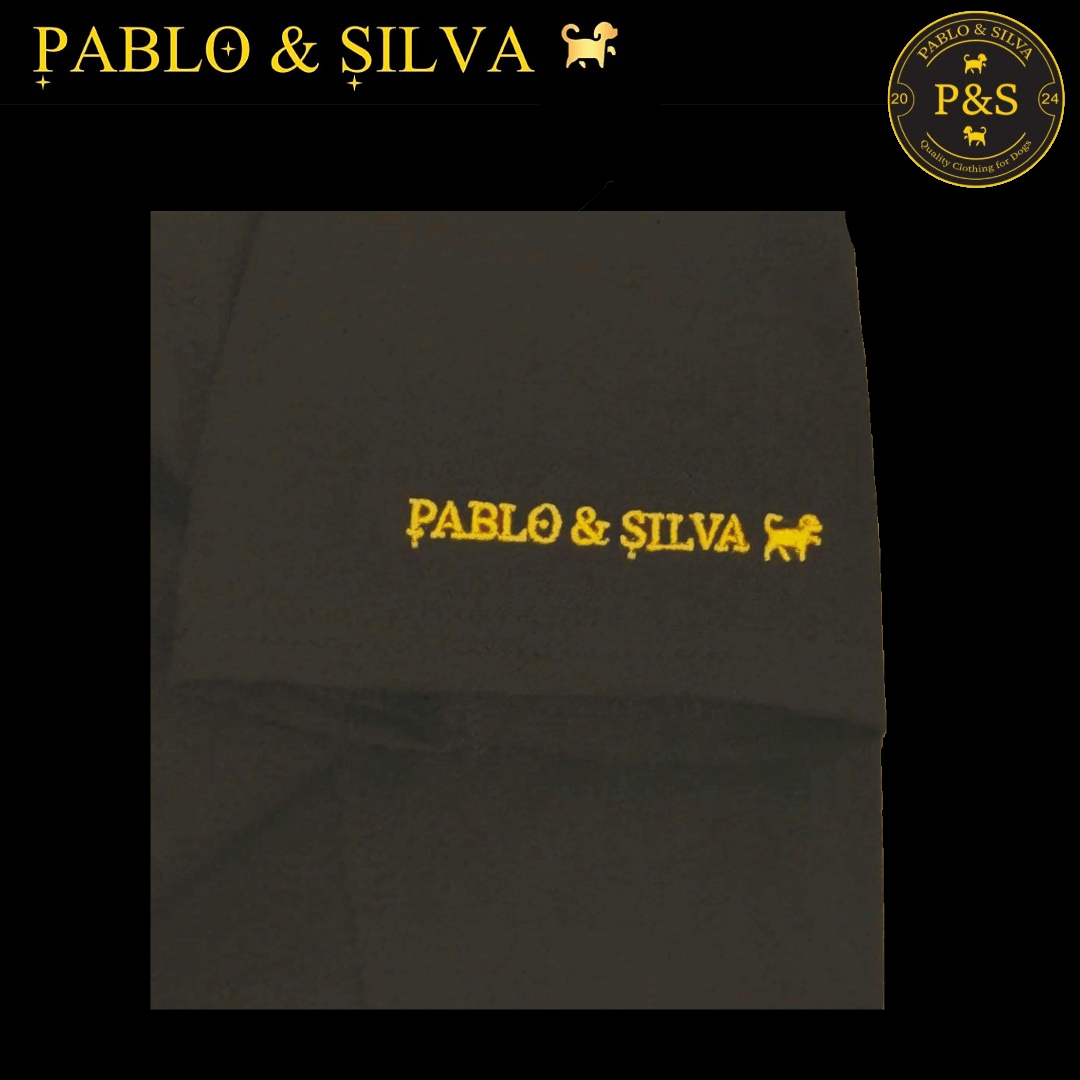 Embroidered 'Pablo & Silva' logo on the sleeve of the tee-shirt