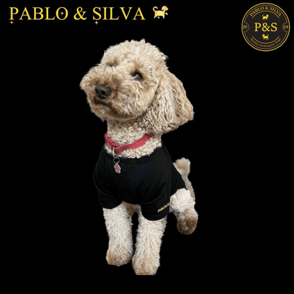 Dog wearing a black 'Pablo & Silva' tee shirt 